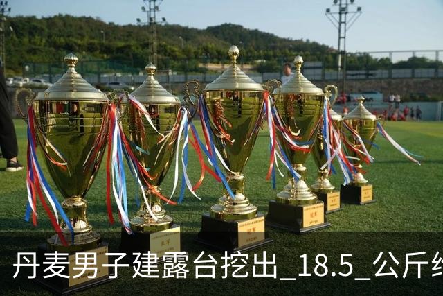 丹麦男子建露台挖出 18.5 公斤维京银器