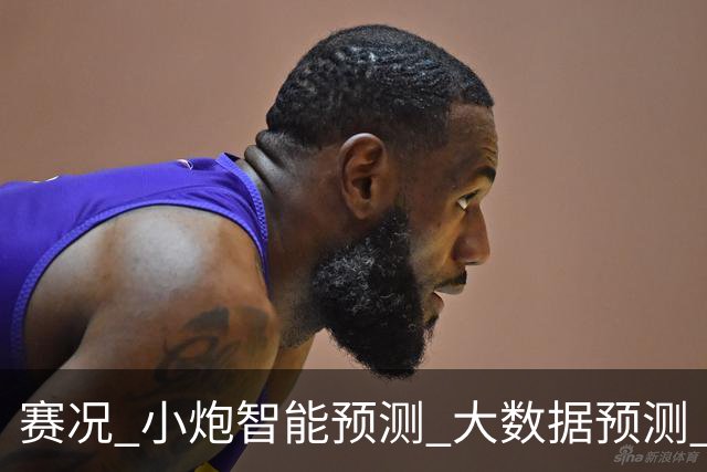 赛况_小炮智能预测_大数据预测_彩票预测-新浪彩通